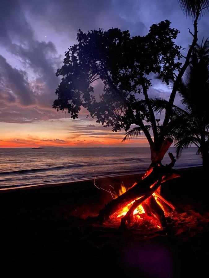 Kinkajoungalows - Amaya Family, Drake Bay, Osa Peninsula San Pedrillo 外观 照片